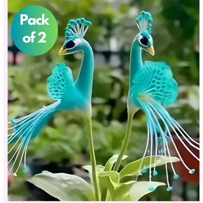 Vibrant Peacock Flower Seeds