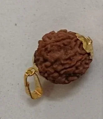 Genuine 7 Mukhi Nepal Rudraksha – Powerful Spiritual Remedy